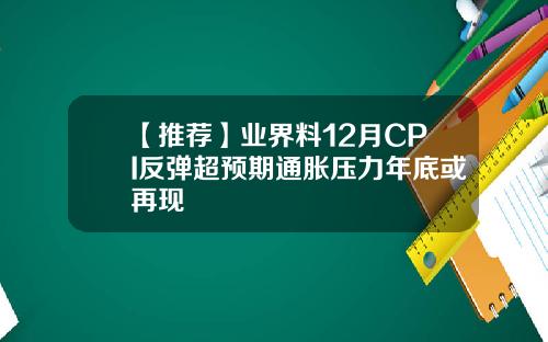 【推荐】业界料12月CPI反弹超预期通胀压力年底或再现