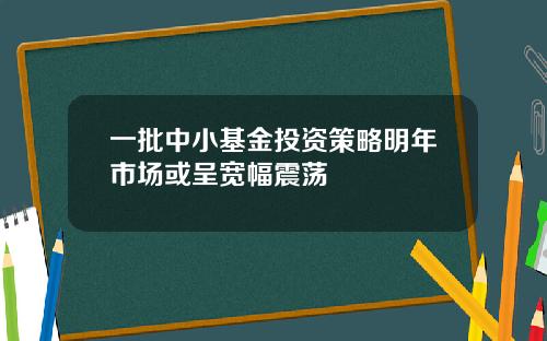 一批中小基金投资策略明年市场或呈宽幅震荡