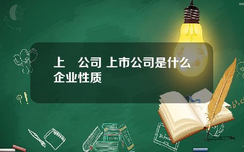 上巿公司 上市公司是什么企业性质