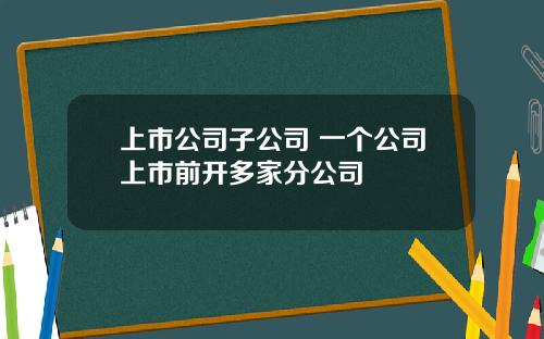 上市公司子公司 一个公司上市前开多家分公司