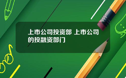 上市公司投资部 上市公司的投融资部门