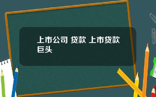 上市公司 贷款 上市贷款巨头