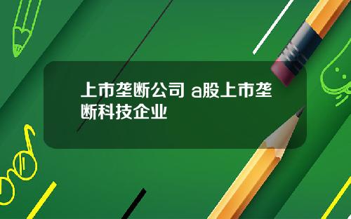 上市垄断公司 a股上市垄断科技企业