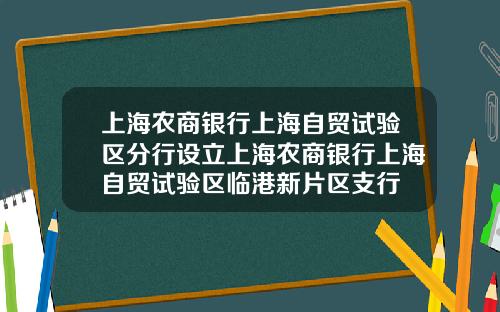 上海农商银行上海自贸试验区分行设立上海农商银行上海自贸试验区临港新片区支行