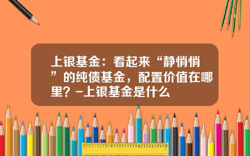 上银基金：看起来“静悄悄”的纯债基金，配置价值在哪里？-上银基金是什么