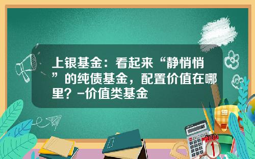 上银基金：看起来“静悄悄”的纯债基金，配置价值在哪里？-价值类基金