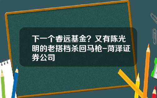 下一个睿远基金？又有陈光明的老搭档杀回马枪-菏泽证券公司