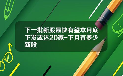 下一批新股最快有望本月底下发或达20家-下月有多少新股