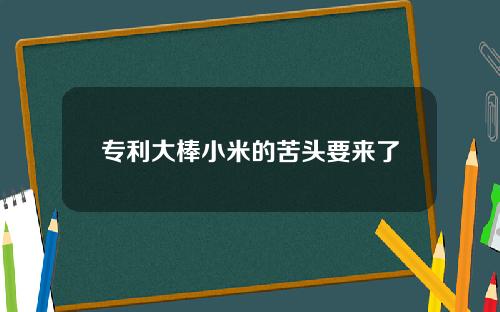 专利大棒小米的苦头要来了