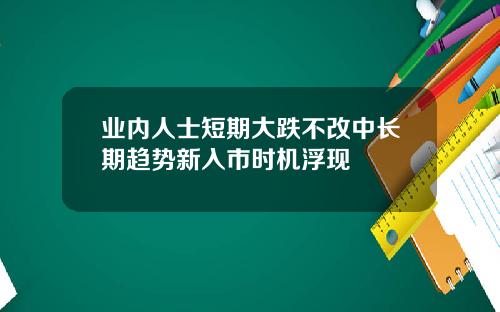 业内人士短期大跌不改中长期趋势新入市时机浮现