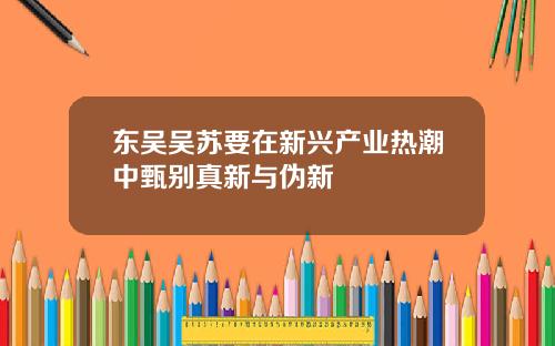 东吴吴苏要在新兴产业热潮中甄别真新与伪新