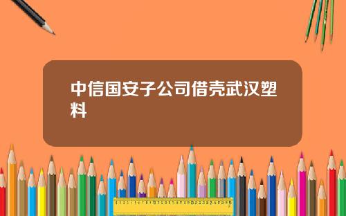 中信国安子公司借壳武汉塑料