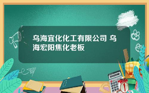 乌海宜化化工有限公司 乌海宏阳焦化老板