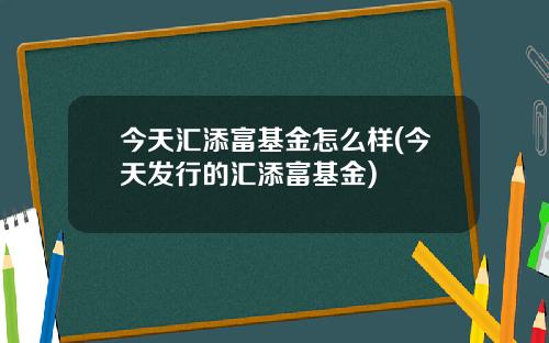 今天汇添富基金怎么样(今天发行的汇添富基金)