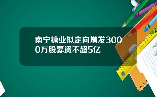 南宁糖业拟定向增发3000万股募资不超5亿