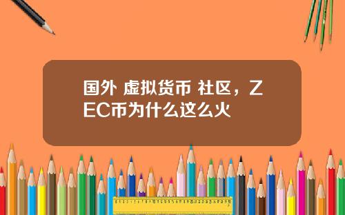 国外 虚拟货币 社区，ZEC币为什么这么火