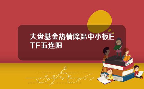 大盘基金热情降温中小板ETF五连阳