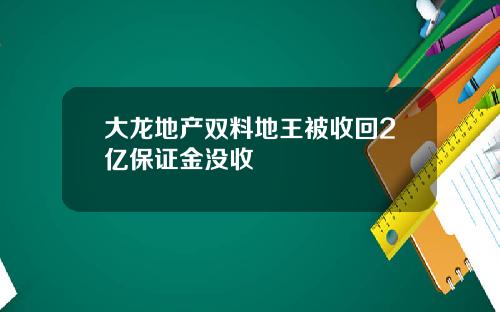 大龙地产双料地王被收回2亿保证金没收