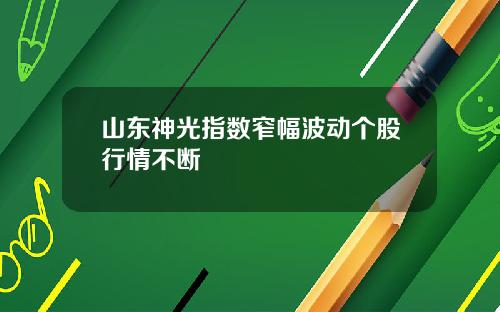 山东神光指数窄幅波动个股行情不断