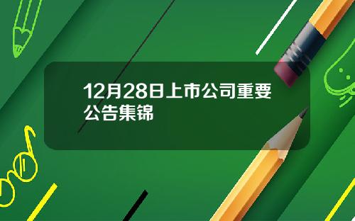 12月28日上市公司重要公告集锦