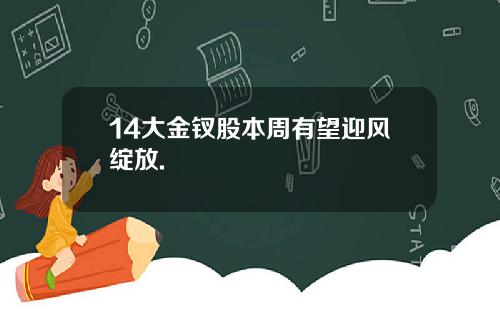 14大金钗股本周有望迎风绽放.