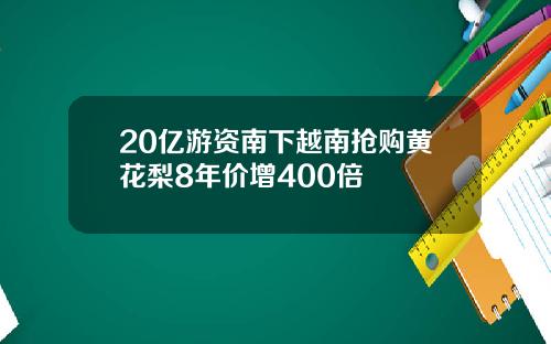 20亿游资南下越南抢购黄花梨8年价增400倍