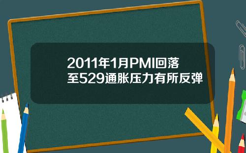 2011年1月PMI回落至529通胀压力有所反弹