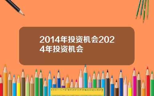 2014年投资机会2024年投资机会