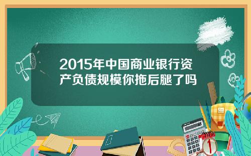 2015年中国商业银行资产负债规模你拖后腿了吗