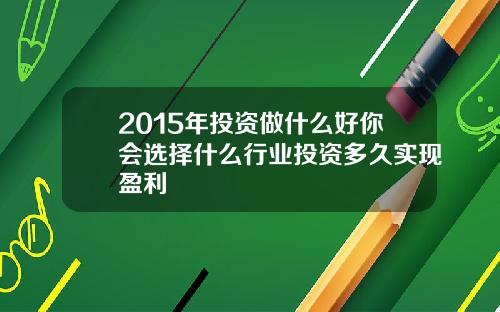 2015年投资做什么好你会选择什么行业投资多久实现盈利