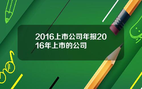 2016上市公司年报2016年上市的公司