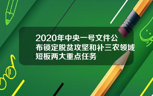 2020年中央一号文件公布锁定脱贫攻坚和补三农领域短板两大重点任务