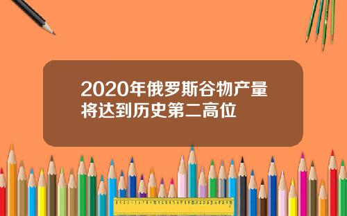 2020年俄罗斯谷物产量将达到历史第二高位