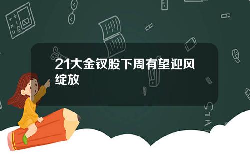 21大金钗股下周有望迎风绽放