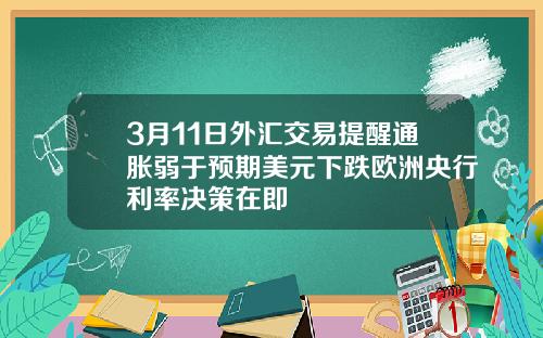 3月11日外汇交易提醒通胀弱于预期美元下跌欧洲央行利率决策在即