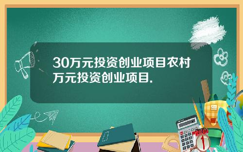 30万元投资创业项目农村万元投资创业项目.