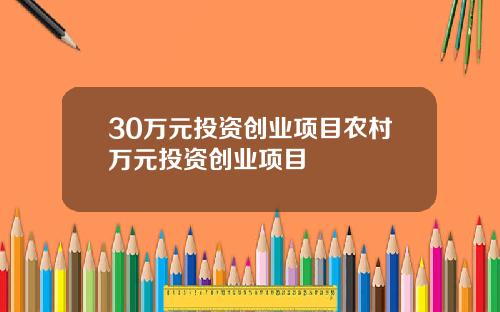 30万元投资创业项目农村万元投资创业项目