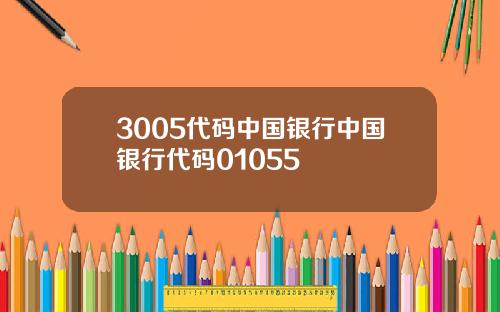 3005代码中国银行中国银行代码01055