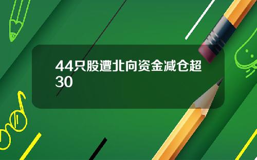 44只股遭北向资金减仓超30