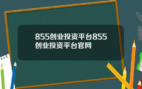 855创业投资平台855创业投资平台官网