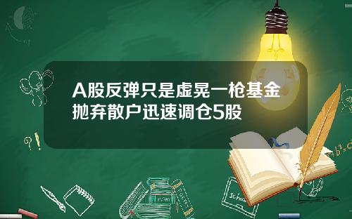 A股反弹只是虚晃一枪基金抛弃散户迅速调仓5股