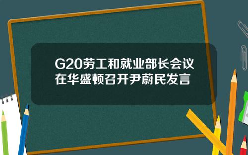 G20劳工和就业部长会议在华盛顿召开尹蔚民发言