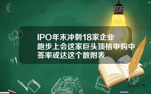 IPO年末冲刺18家企业跑步上会这家巨头顶格申购中签率或达这个数附表