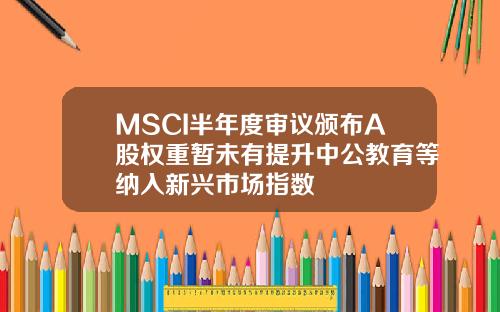 MSCI半年度审议颁布A股权重暂未有提升中公教育等纳入新兴市场指数