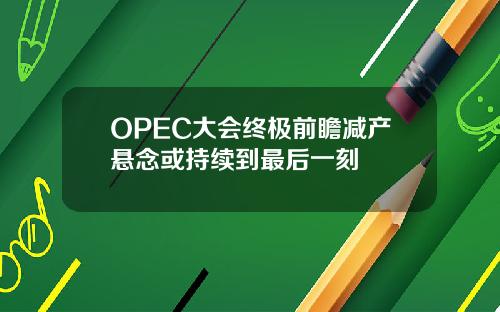 OPEC大会终极前瞻减产悬念或持续到最后一刻