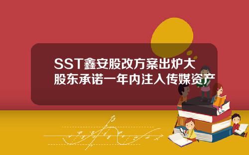 SST鑫安股改方案出炉大股东承诺一年内注入传媒资产