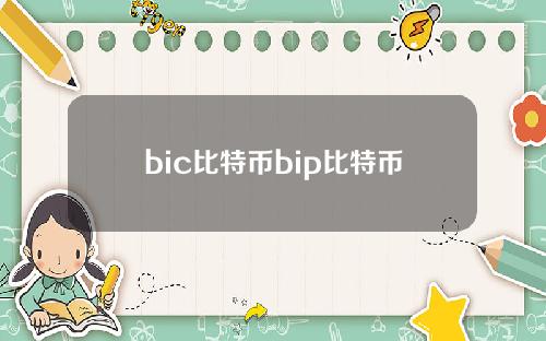 bic比特币bip比特币