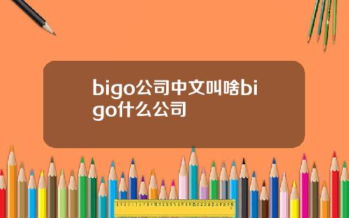 bigo公司中文叫啥bigo什么公司