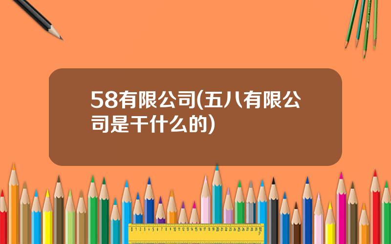 58有限公司(五八有限公司是干什么的)