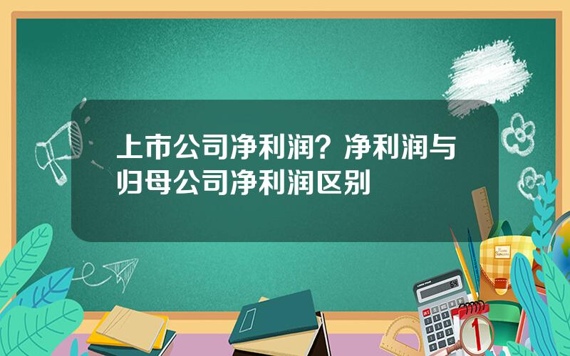 上市公司净利润？净利润与归母公司净利润区别